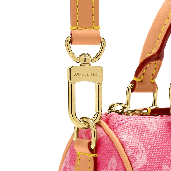 LOUIS VUITTON Nano Speedy